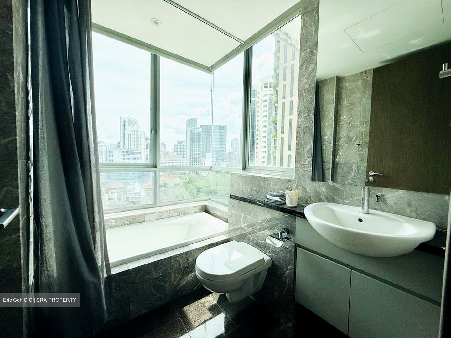 Draycott Eight (D10), Condominium #508815411
